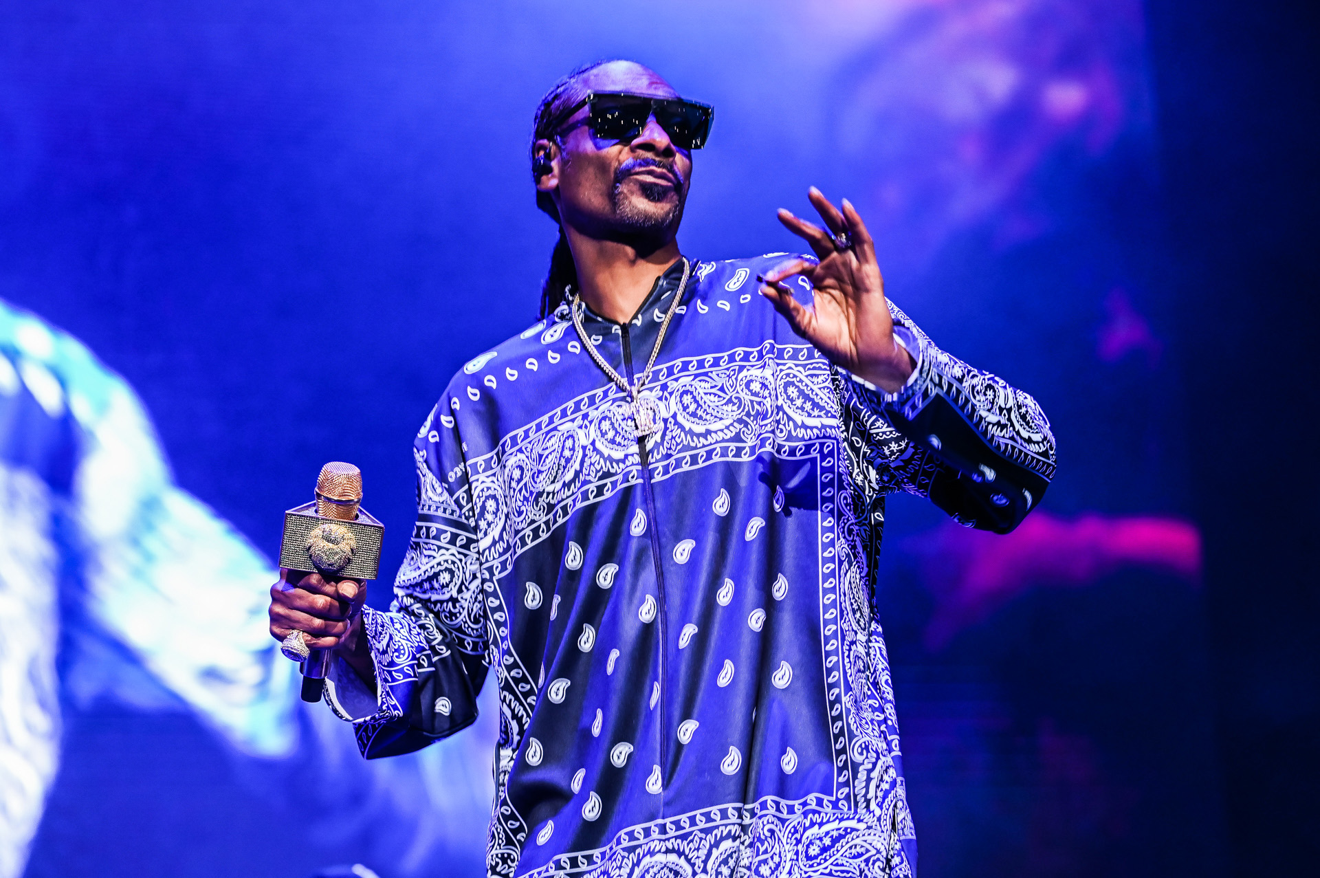 Snoop Dogg – Biography, Life Journey, and Cryptocurrency